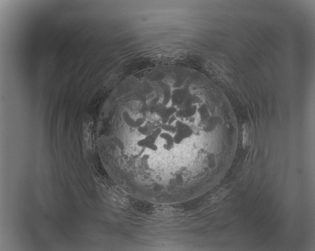 X0000072521059200607211417