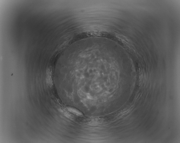 X0000072521060200607211417