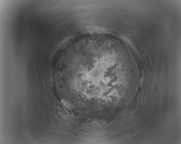 X0000072521063200607211417