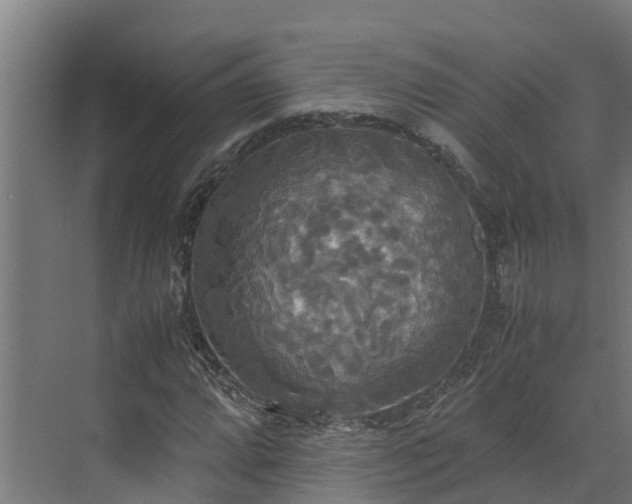 X0000072521064200607211417