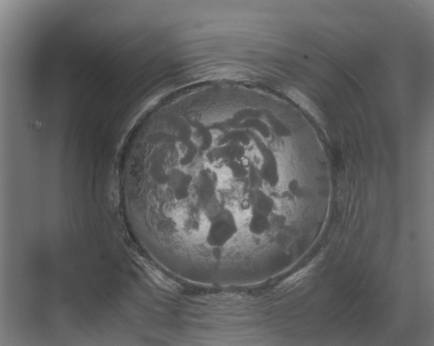 X0000072521067200607211417