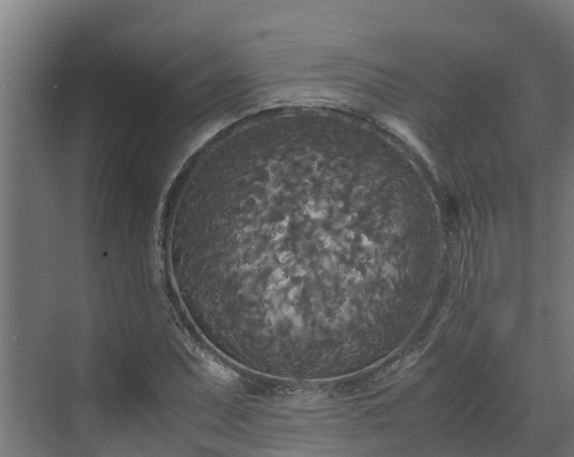 X0000072521071200607211417