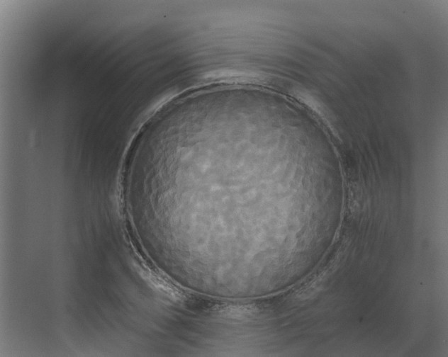 X0000072521074200607211417