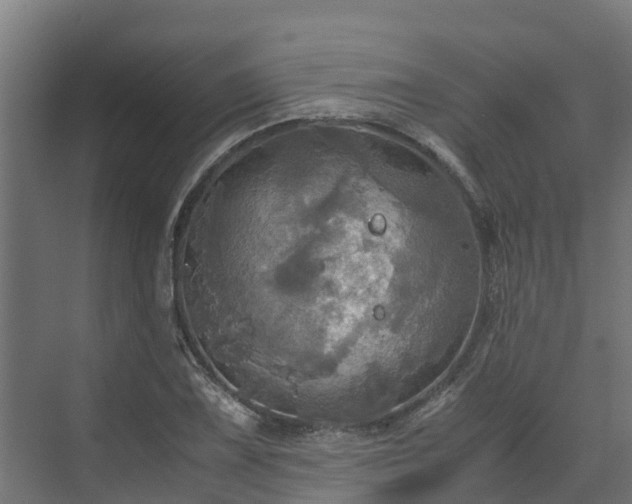 X0000072521075200607211417