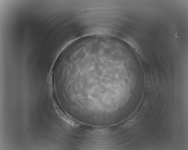 X0000072521078200607211417