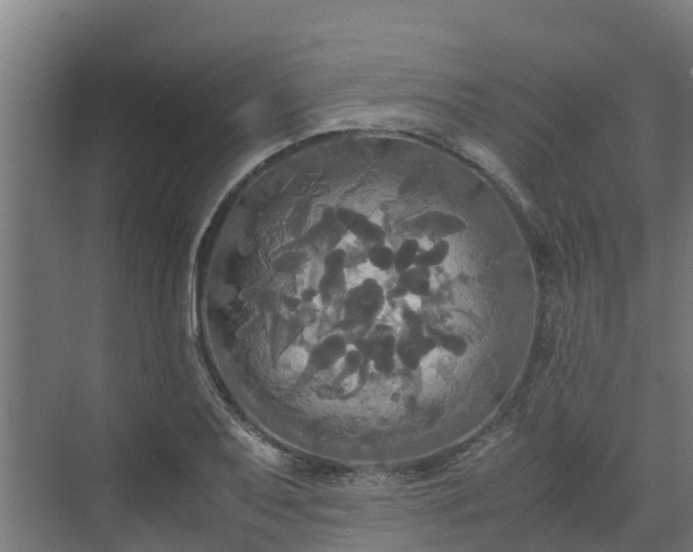 X0000072521079200607211417