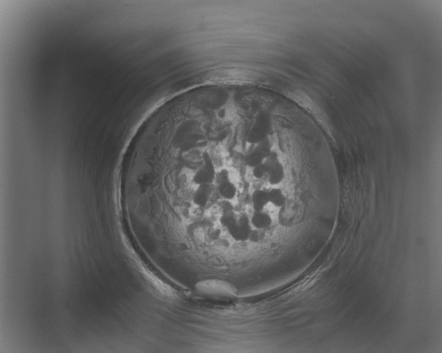 X0000072521083200607211417