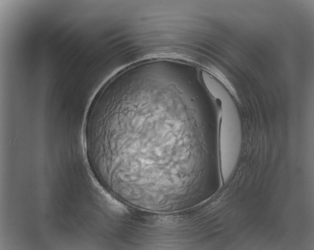 X0000072521084200607211417