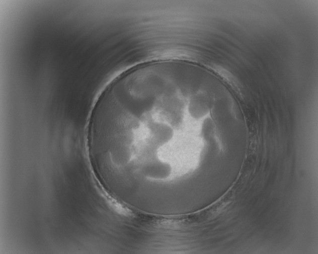 X0000072521086200607211417