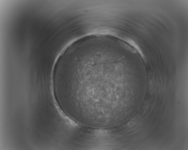 X0000072521088200607211417