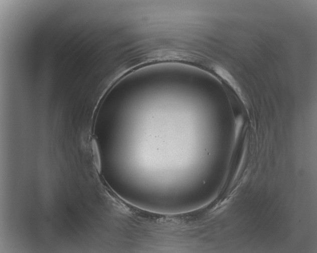 X0000072521089200607211417