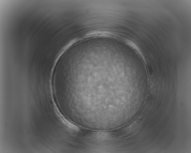 X0000072521090200607211417