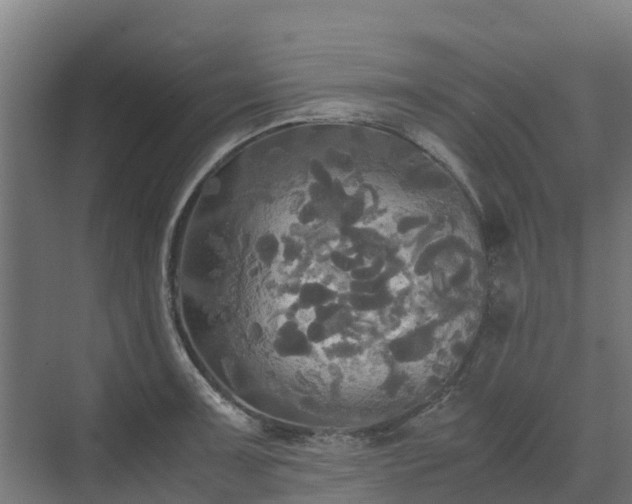 X0000072521091200607211417