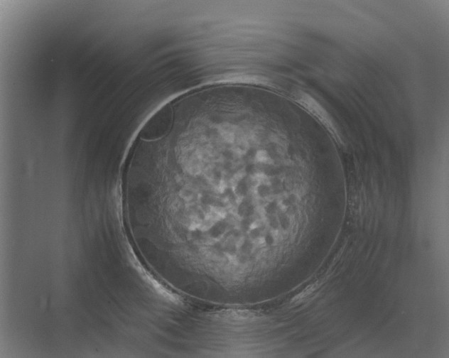 X0000072521092200607211417