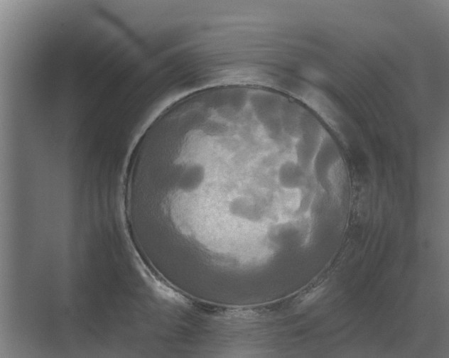 X0000072521094200607211417