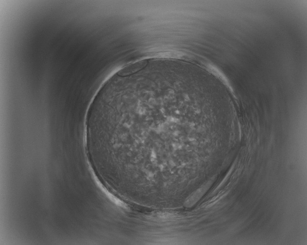 X0000072521095200607211417