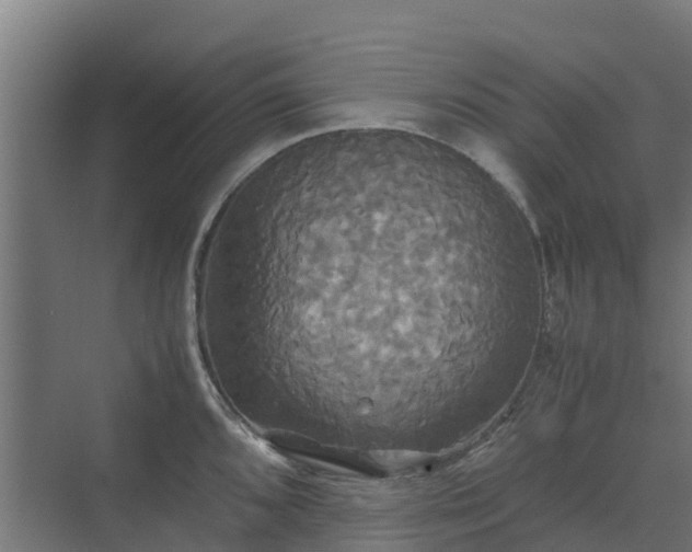 X0000072521096200607211417