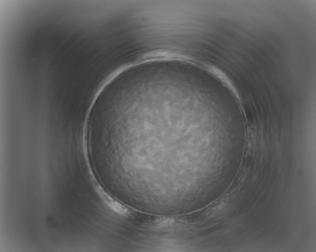 X0000072521098200607211417