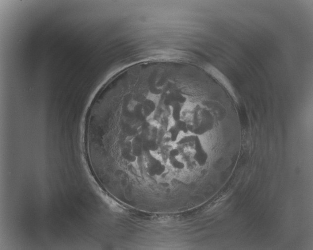 X0000072521099200607211417