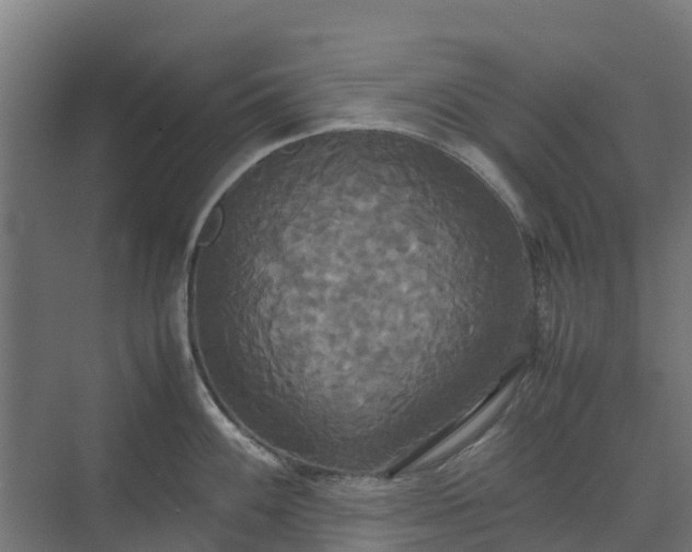 X0000072521100200607211417