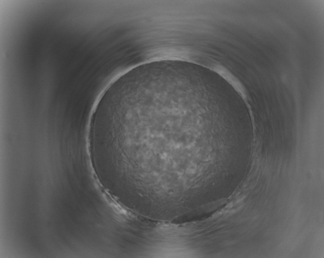 X0000072521104200607211417