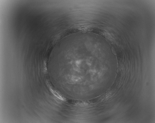 X0000072521106200607211416