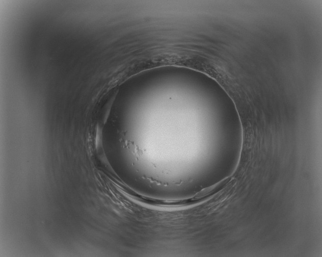 X0000072521109200607211416