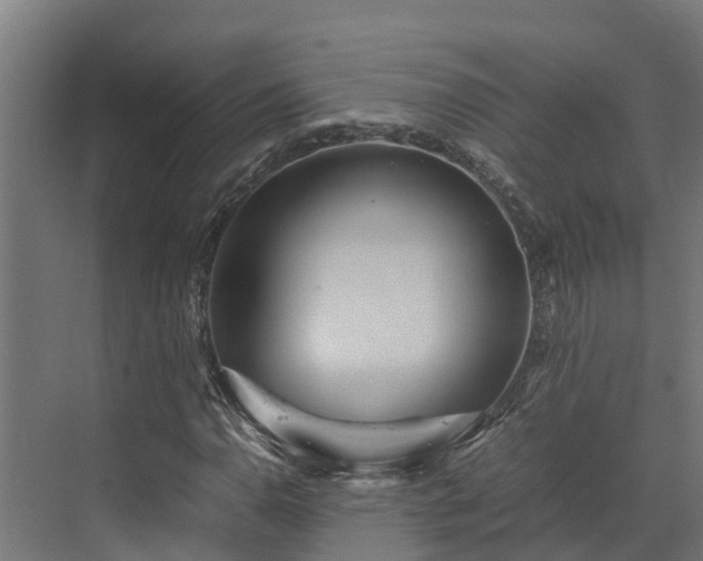 X0000072521110200607211416