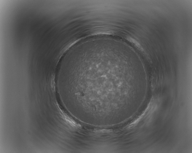 X0000072521113200607211416