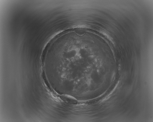 X0000072521117200607211416