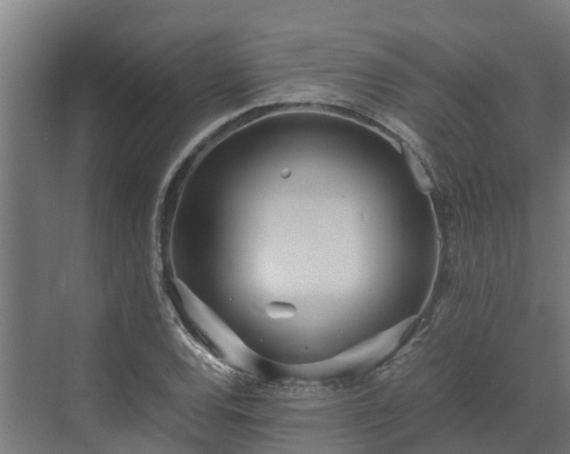 X0000072521120200607211416