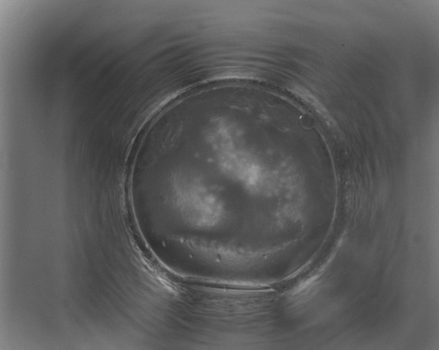 X0000072521121200607211416