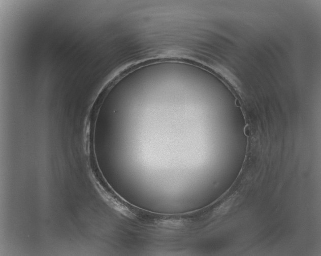 X0000072521126200607211416