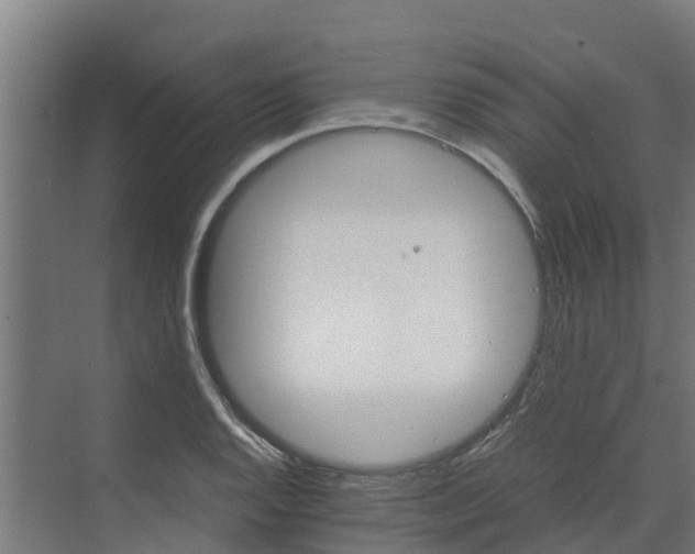 X0000072521128200607211416