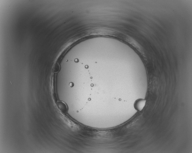 X0000072521130200607211416