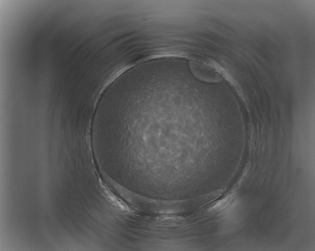 X0000072521137200607211416