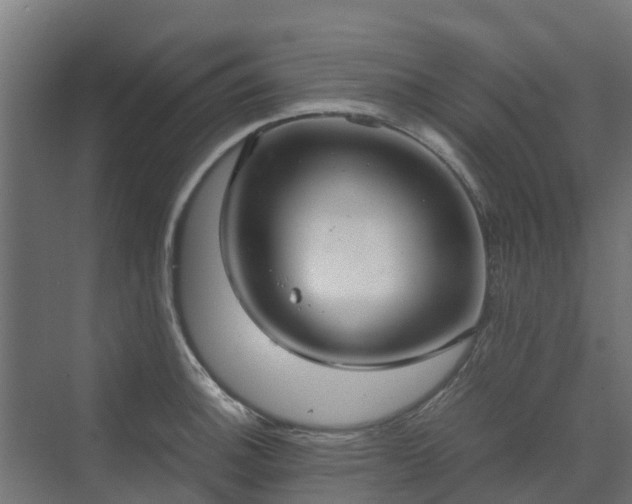 X0000072521140200607211416