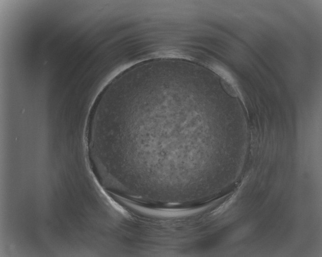 X0000072521141200607211416