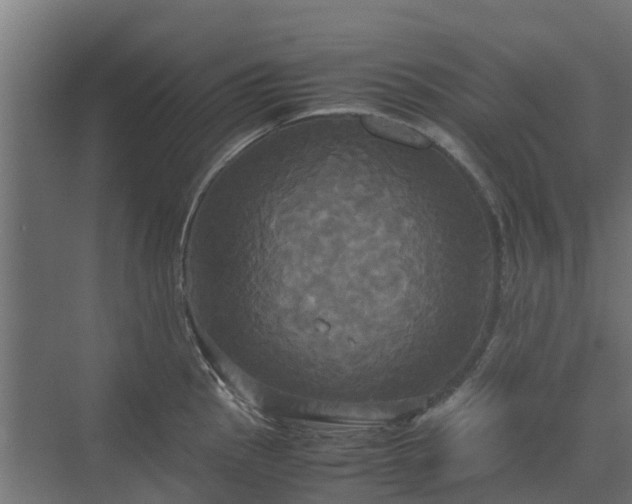 X0000072521145200607211417