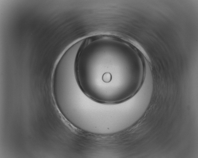 X0000072521148200607211417