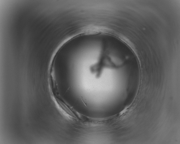 X0000072521152200607211417