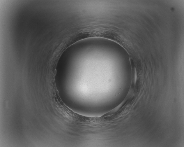 X0000072521153200607211416