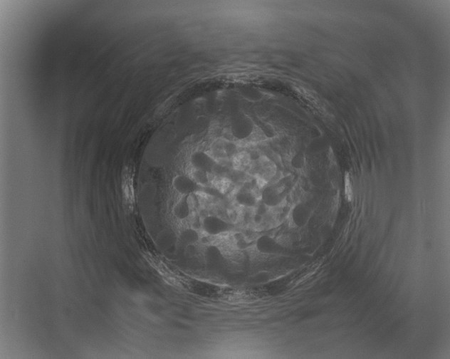 X0000072521155200607211416