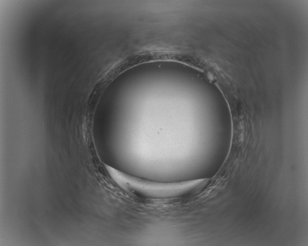 X0000072521157200607211416