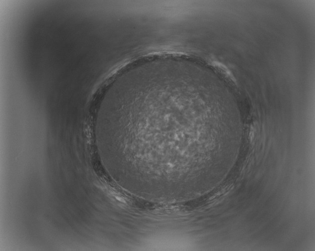 X0000072521159200607211416