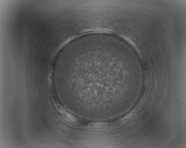 X0000072521163200607211416