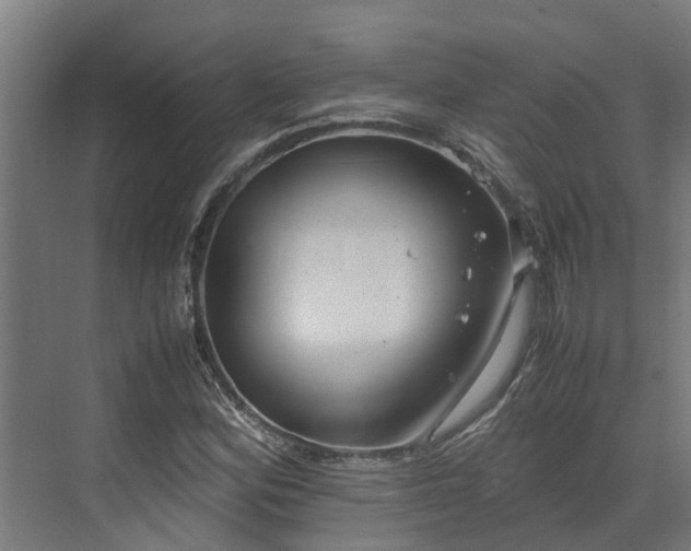 X0000072521164200607211416