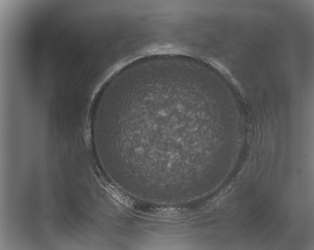 X0000072521167200607211416