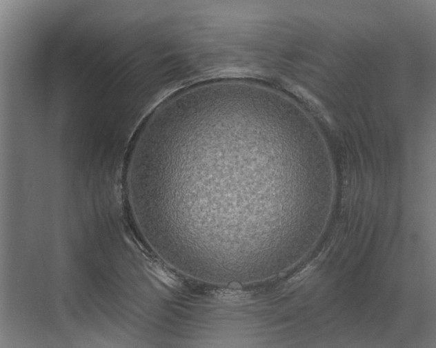 X0000072521170200607211416