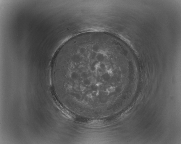 X0000072521171200607211416